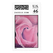Blossom Postage Stamp