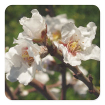 Blossom Square Stickers