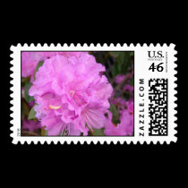 Blossom Stamp by alyciakeating Blossom Stamp