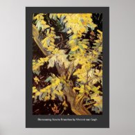 Blossoming Acacia Branches Vincent van Gogh. Print