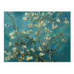 Blossoming Almond Tree - Van Gogh Post Cards