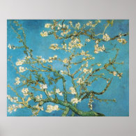 Blossoming Almond Tree  Vincent van Gogh Posters