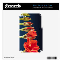 Blossoming Amaryllis Flower Skins For iPod Touch 4G