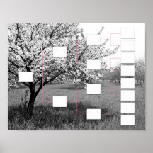 Blossoming Family Tree: 4 Generation Wall Chart Posters