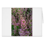 Blossoming Moorland Greeting Card