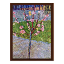 Blossoming Peach Tree By Vincent Van Gogh postcards