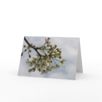 Blossoms Greeting Card -Blank Inside