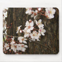 Blossoms on a Tree Mousepad by wingedturtle Blossoms on a Tree Mousepad