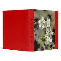 Blossoms Photo Album binders
