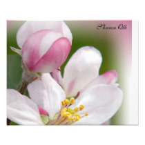 Blossoms Photographic Print