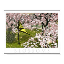 Blossoms posters by jbraden39 Blossoms posters