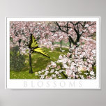 Blossoms Poster