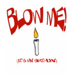 BLOW ME, IT'S MY BIRTHDAY t-shirts