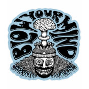 Blow Your Mind