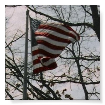BLOWING FLAG POSTERS by SAPPYJIM