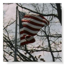 BLOWING FLAG posters