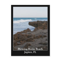 Blowing Rocks Beach Jupiter, FL Post Card