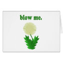 Blowm Card by Dustbuster Blowm Card