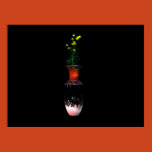 glass, vase, flowers, yellow, red, black, green,