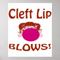 Blows Cleft Lip Poster