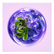 BLUBELL IN THE ROUND