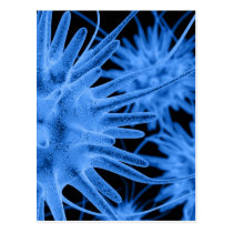 Blue Abstract Postcard postcards