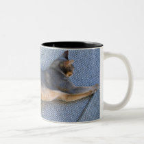 Blue Abyssinian Male Stretched Out mugs