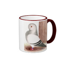Blue African Owl Pigeon Coffee Mugs