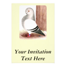 Blue African Owl Pigeon Invitation