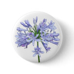 Blue Agapanthus Button