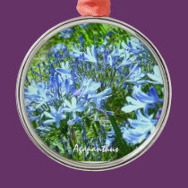 Blue Agapanthus Christmas Ornament ornaments