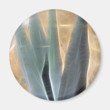 Blue Agave 1 Glow Magnets