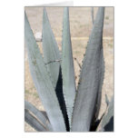Blue Agave Cards