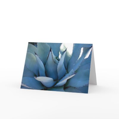 Blue Agave Cards by MissBuffy