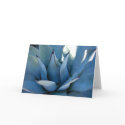 Blue Agave cards by MissBuffy Blue Agave cards