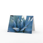Blue Agave cards