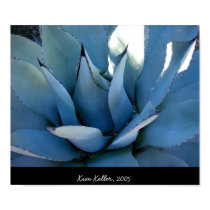 Blue Agave posters