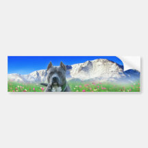 Blue American Pit Bull Terrier, Pikes Peak Bumper Sticker