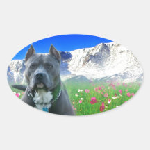 Blue American Pit Bull Terrier, Pikes Peak Oval Sticker