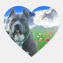 Blue American Pit Bull Terrier, Pikes Peak Heart Sticker