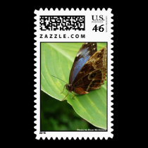 Blue and Brown butterfly Postage postage by Rajee1 Blue and Brown butterfly Postage postage