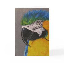Blue and Gold Macaw Greeting Card cards