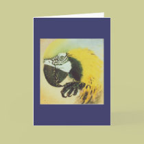 Blue and Gold Macaw / parrot - bird Note Card