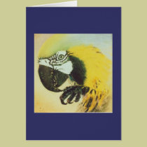 Blue and Gold Macaw / parrot - bird Note Card cards