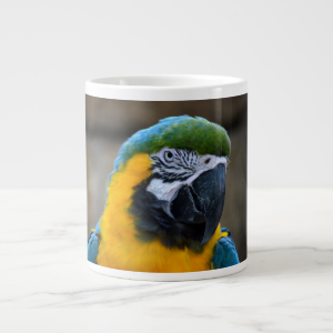 blue and gold macaw parrot head view c extra large mugs