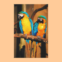 Blue and gold macaw parrots canvas prints