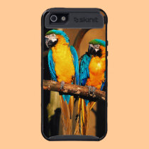 Blue and gold macaw parrots  iPhone 5 Cargo Case skinit case