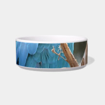 Blue And Gold Macaw Pet Food Bowl