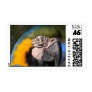 Blue and Gold Macaw Stamp