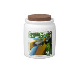 Blue and Gold Macaws Candy Jar
